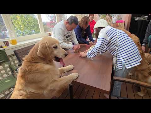 皆さんお待ちかね、９歳の誕生日のためのケーキを待つ賑やかさ。2026年3月8日 サムネイル