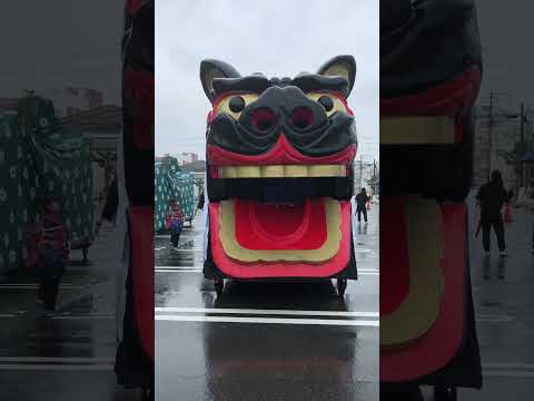 shorts 酒田大獅子松🌲　獅子パックン　酒田まつり サムネイル