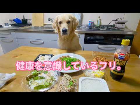 健康を意識してのんびり海暮らし中。ゴールデンレトリバーティト サムネイル