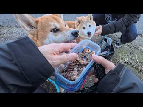 2026年3月5日(木) 同じおやつならお客様用のほうが絶対にいいに違いありませんわ！と割り込んでくる悪役令嬢の皆様 サムネイル