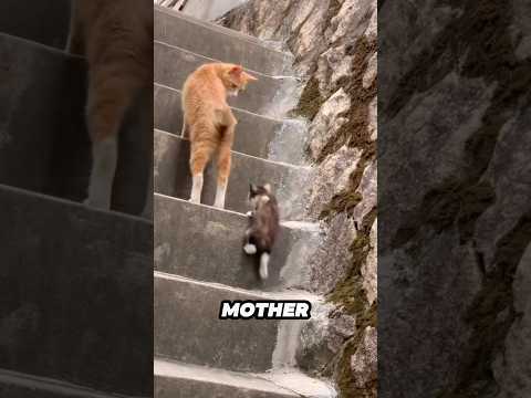 This is so heartwarming 🥰❤️ サムネイル