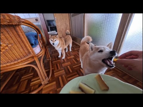 2026年2月13日(金) おイモ好きすぎるママに引き気味な末っ子ちゃん サムネイル