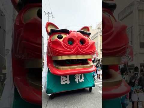 shorts 酒田大獅子　日和　獅子パックン　酒田まつり サムネイル