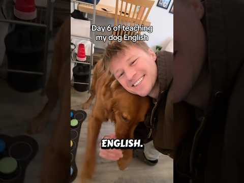 Did you give your teachers this much attitude? サムネイル