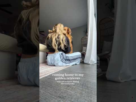 coming home to my golden retriever🥵goldenretreivers dog pup… サムネイル