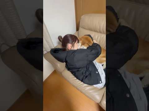 柴犬福 名作！おばあさんに失笑される姉と柴犬🤣Sister and Shiba🤣#姉と柴 #shorts #funny… サムネイル