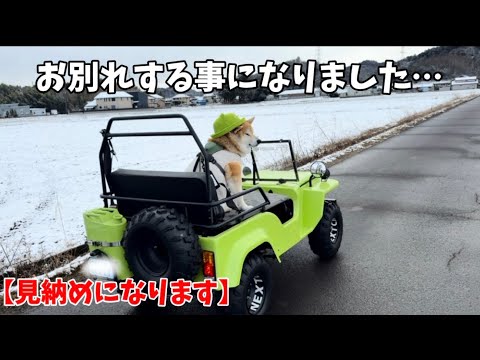 【報告】これが最後の見納めになりそうです… サムネイル