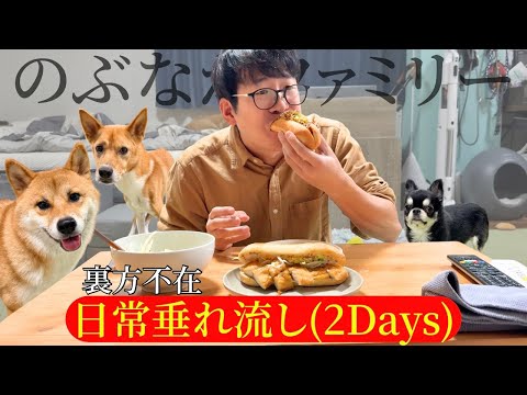 【リアルな日常】多頭飼いアラフォーと3頭のゆるい日々 サムネイル