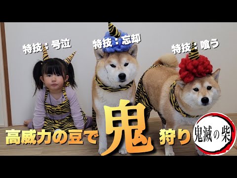 高威力の豆を用意し鬼滅…も娘が大号泣し離脱、１人戦う柴犬女子 サムネイル