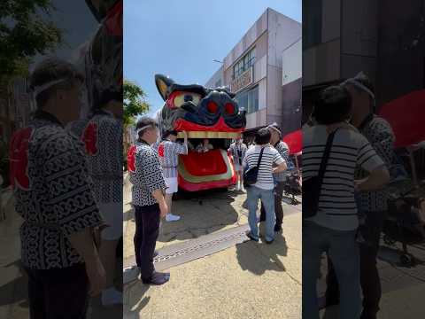 shorts 獅子パックン　松🌲　酒田大獅子　酒田まつり サムネイル