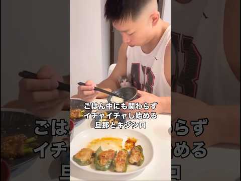 最近この2人のイチャイチャ多すぎて食事が進まない⋯ 保護猫 子猫 shorts サムネイル
