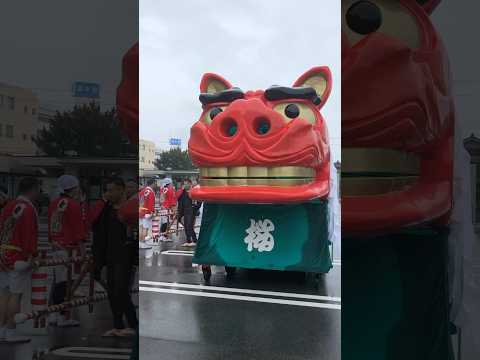 shorts 酒田大獅子桜🌸　獅子パックン　酒田まつり サムネイル