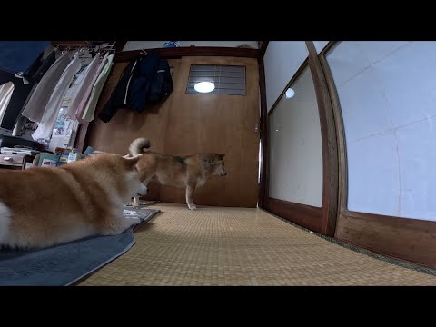 おやつ待機部屋のご様子 サムネイル