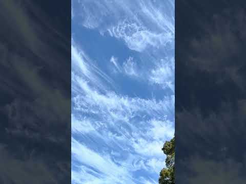 shorts 綺麗な空　浜松市動物園にて　2026年2月14日　IMG 8475 サムネイル