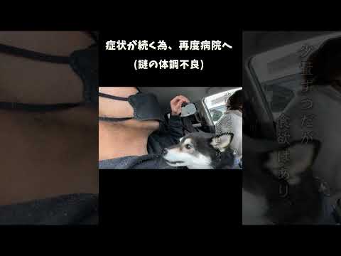 続く症状 サムネイル