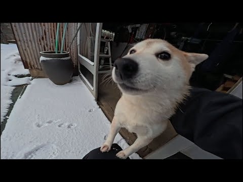 2026年2月9日(月) おはようももさん サムネイル