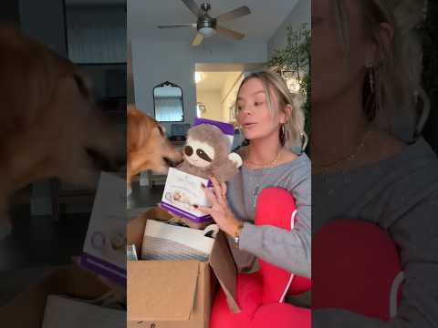 coming home to my golden retriever🥵goldenretreivers dog pup… サムネイル