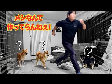 【多頭飼いルーティン②】撮影で鬼忙しいから時短メシに頼る！ サムネイル