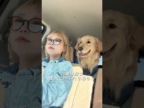 ドッグランに行く日のモーニングルーティン☕️ゴールデンレトリバー 犬と2人暮らし goldenretriever サムネイル