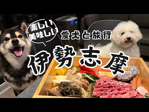 ドッグラン付きプライベートヴィラで柴犬との一泊２日の旅 サムネイル