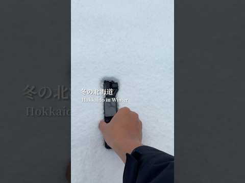 一定要跟喜歡的人在冬天來一趟北海道！粉雪飛揚隨便拍都好浪漫🥺 日本 北海道 小樽 札幌 hokkaido japan… サムネイル