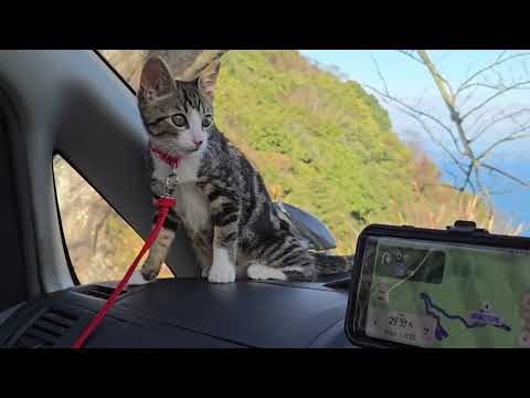 正月旅行に出かけた「うどん県の紫雲出山」のビスとイロハ+キビ サムネイル