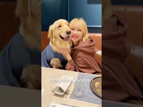 茨城県大洗にあるDoggy's Coast Oaraiさんにお泊まりしてきました🙌※時期によってサービスが変更する場合… サムネイル