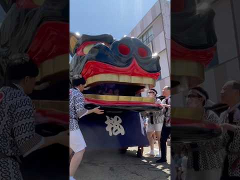 shorts 酒田大獅子　松🌲　獅子パックン　酒田まつり サムネイル