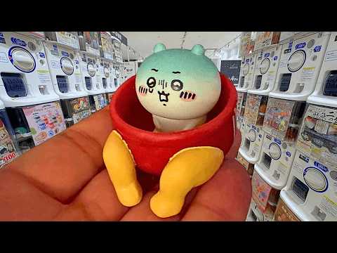 【ガチャ活】新作ガチャガチャ50連！新発売少なめのガチャ活！ サムネイル