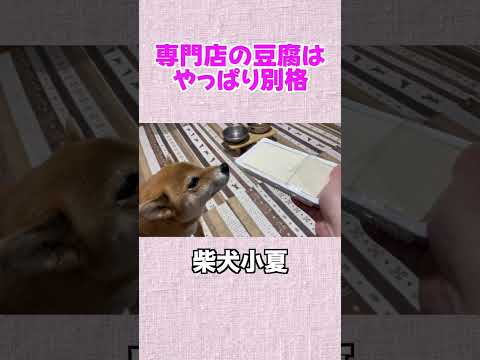 専門店の豆腐は やっぱり別格 サムネイル
