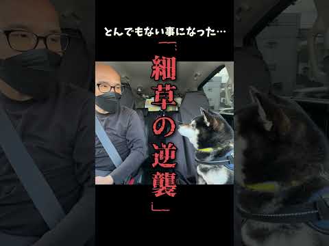 とんでもない事になった サムネイル