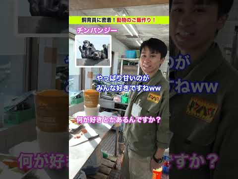 飼育員が作るごはん【チンパンジー編】 サムネイル