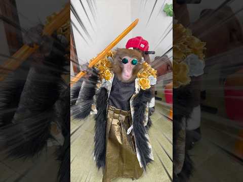 非行に走ったお猿さんの新成人 サムネイル