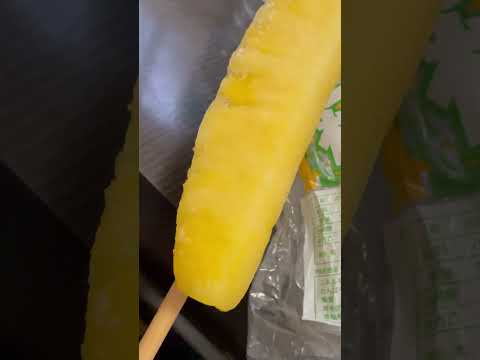 shorts スペシャルプライスだったパイン棒 買ってみた　那須どうぶつ王国にて　2026年1月1日 サムネイル