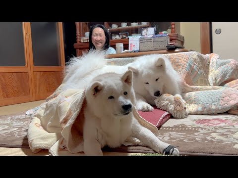 支えてくれる全ての人、愛犬に大感謝、厳しい育児に心が折れそうになるも家族に救われました。 サムネイル