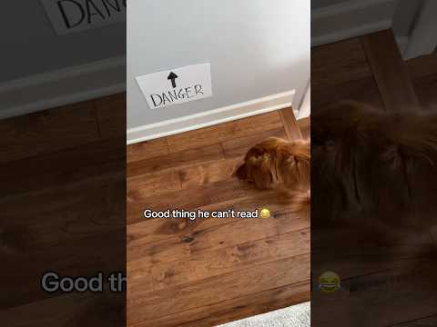 It’s the only way 😂 サムネイル