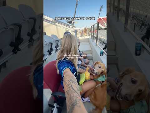 Transparent Lingerie & See-through Styles Shein 2025 Bikini… サムネイル