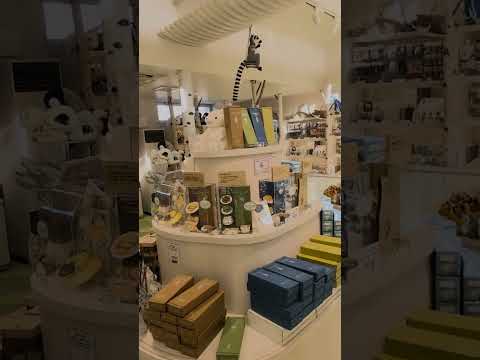 【旭山動物園】ミュージアムショップ 旭山✨ミュージアムカフェ旭山☕[Asahiyama Zoo] Museum Sho… サムネイル