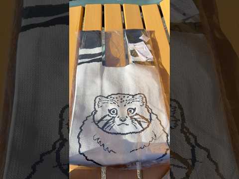 shorts モデルはイーリスくん？　王子動物園 売店にて　2025年12月27日 サムネイル