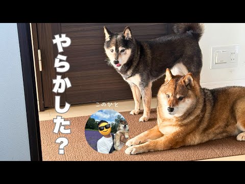 飼い主が忙しいという理由・・・ サムネイル