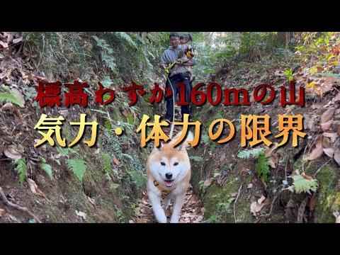 柴犬＆娘と標高わずか160Mの山へ。体力・生命の危機を感じた日 サムネイル
