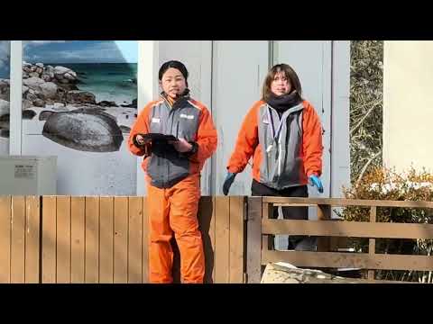 ジェンツーペンギンが走る💨ジェンツーラン！　那須どうぶつ王国にて　2026年1月30日 サムネイル