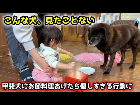 【ほっこり】子供好きの甲斐犬におせち料理あげたら、優しすぎる行動に サムネイル