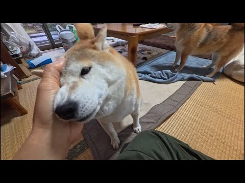 廊下で呼ぶ気配がしたので行ってみると サムネイル