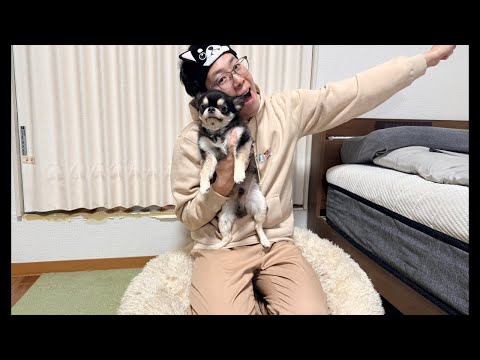 チワワの、のぶなが バースデーライブ！ サムネイル