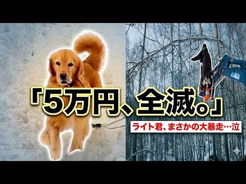 【悲劇】ママに内緒で5万円。森をイルミネーションにしたら犯人が現れました… サムネイル