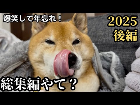 【爆笑】2025年、名場面大集合！総集編（後編） サムネイル