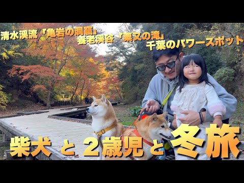 柴犬と２歳児とパワースポットハイキング。…冬の川遊びを始め震える サムネイル