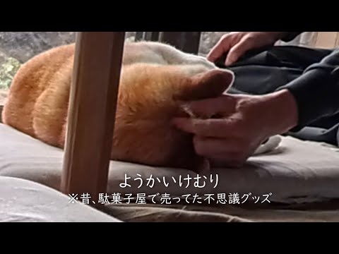 モモさんのあんよメンテ と ようかいけむり サムネイル