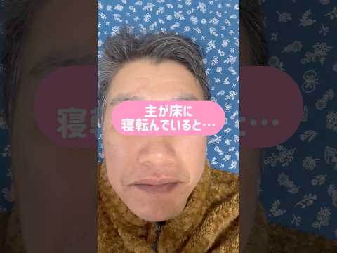 たまーに、こーして甘えて近づいてくる柴犬のツンデレにメロメロ❤️ 柴犬　柴犬とん サムネイル